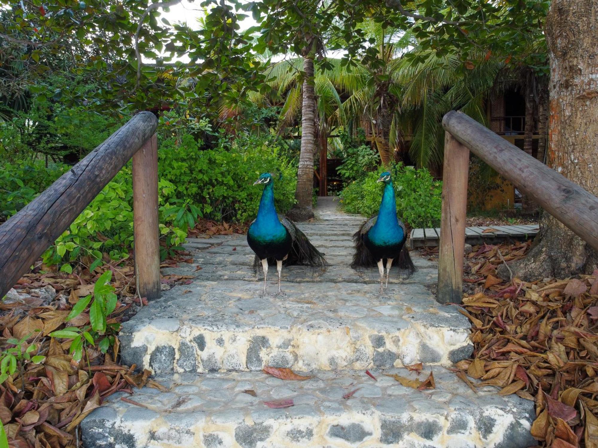 Isla Fuerte Eco House Villa Puerto Limon Екстериор снимка