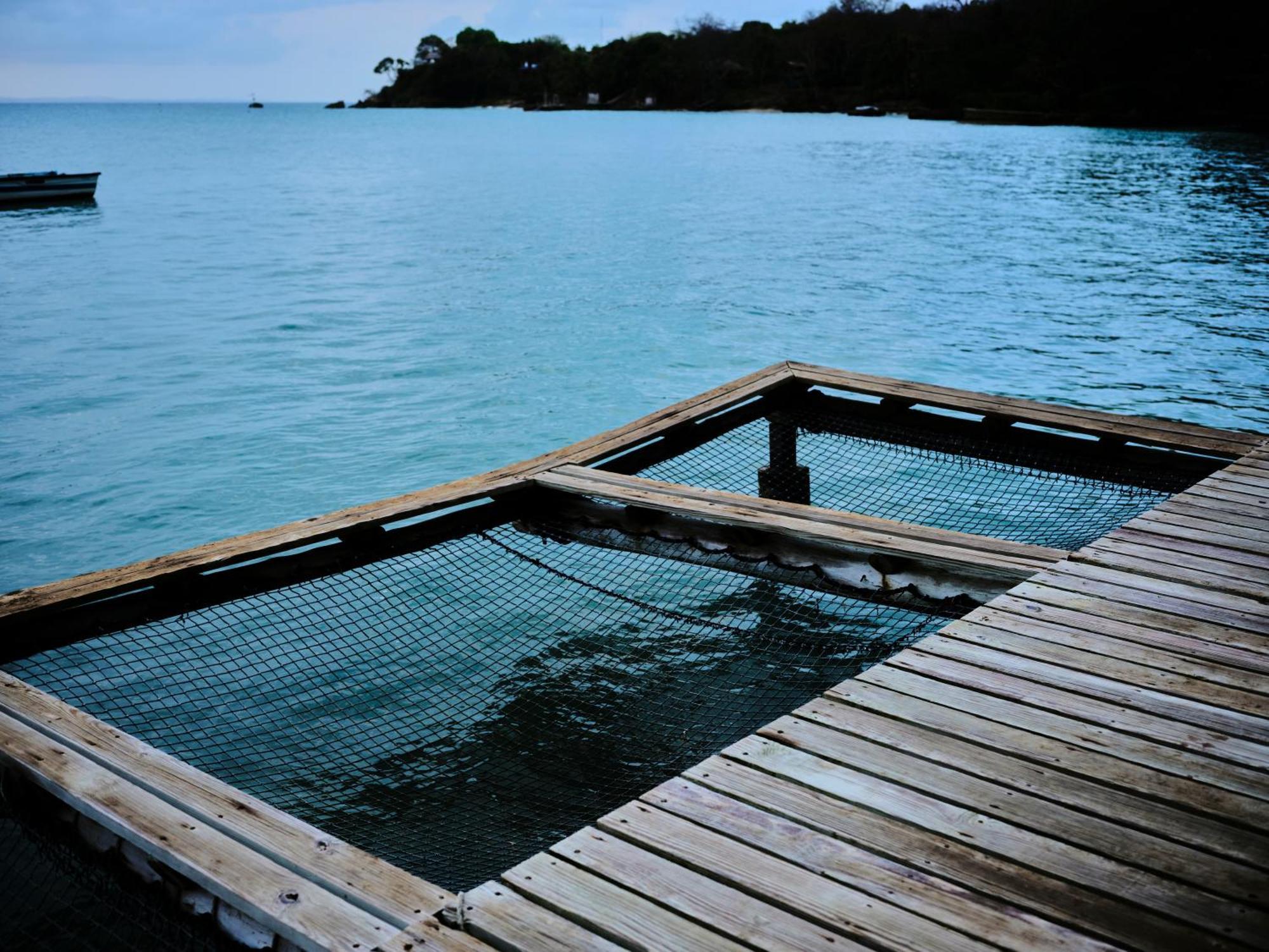 Isla Fuerte Eco House Villa Puerto Limon Екстериор снимка